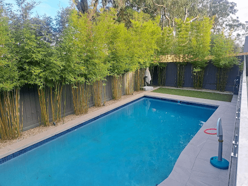 Modern backyard pool with bamboo screening and glass pool fence, highlighting the importance of pre- and post-installation inspections in Victoria